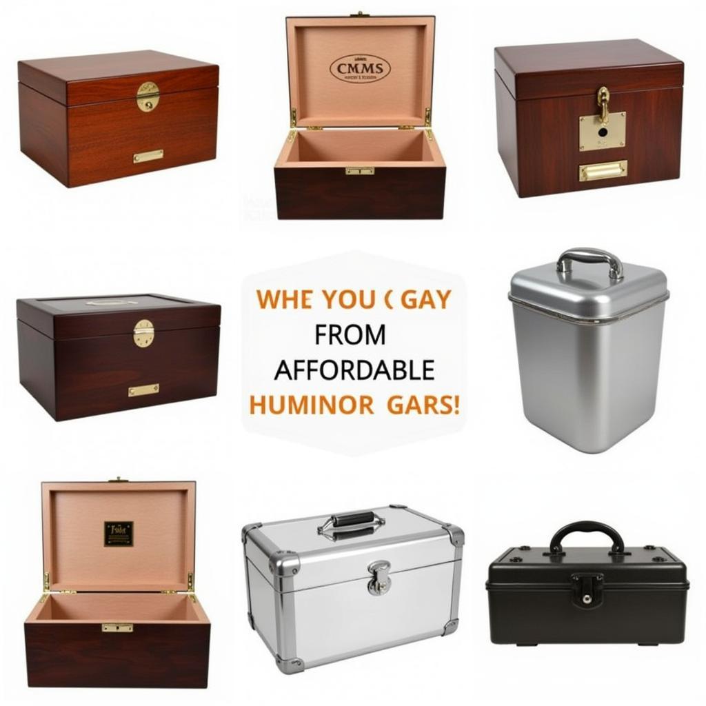 Different affordable humidor options