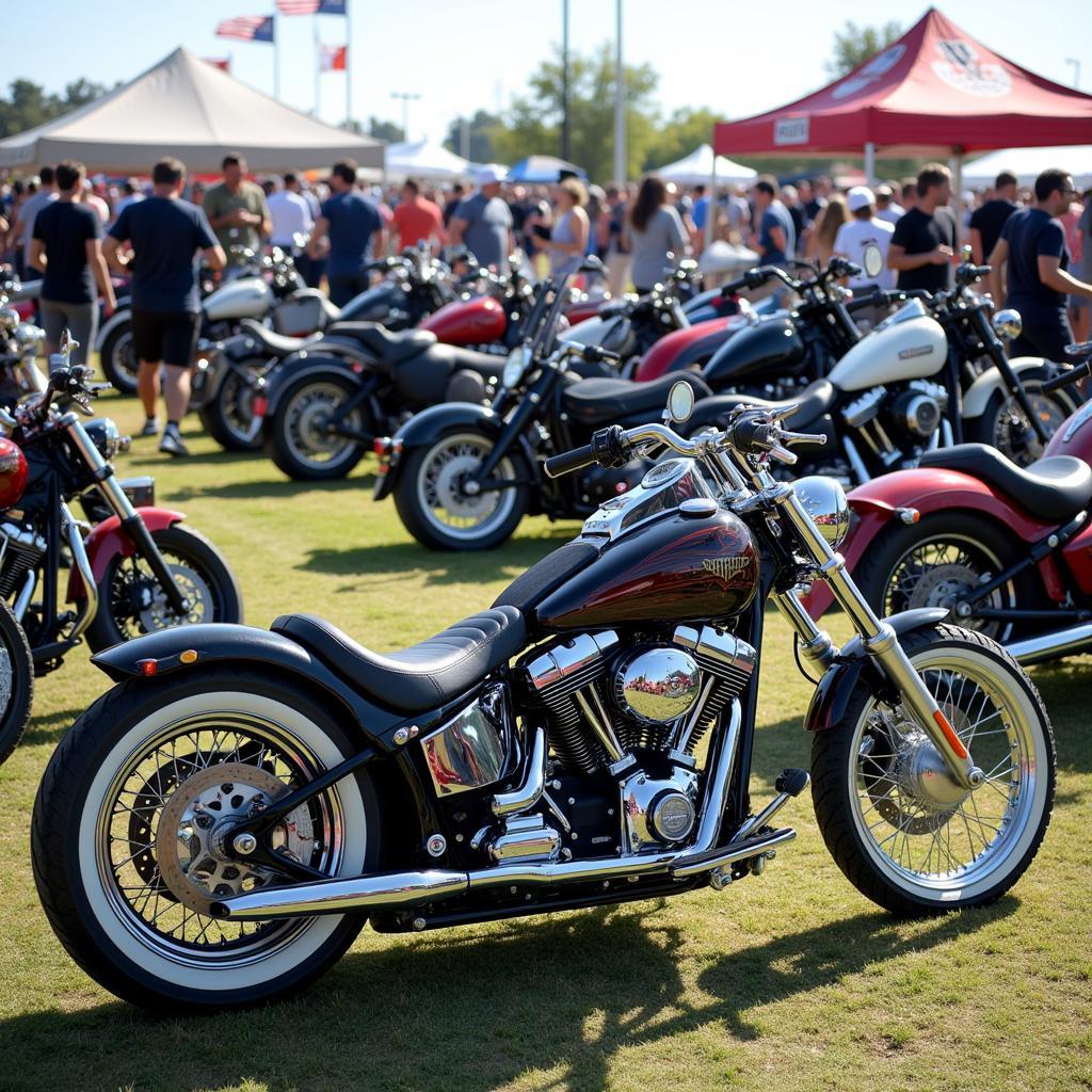 Attendees admiring motorcycles at Born Free California