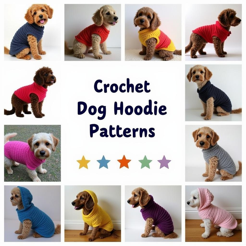 Different Types Of Crochet Dog Hoodie Patterns