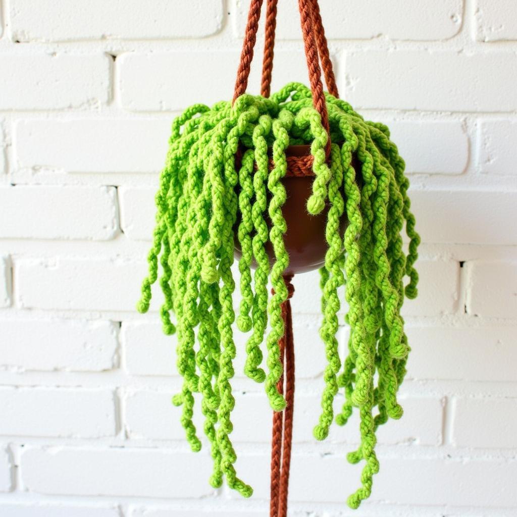 Crochet plant hanging in a macrame hanger