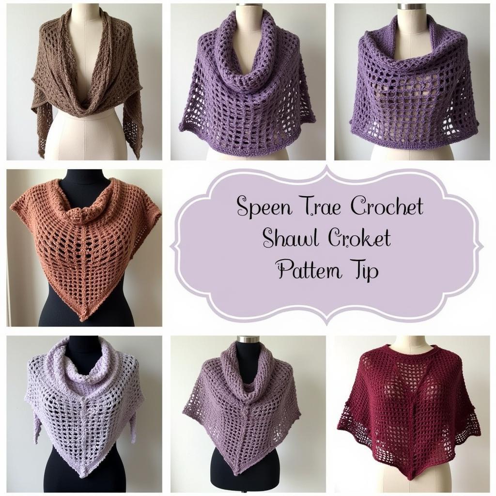 Crochet Shawl Patterns Collection