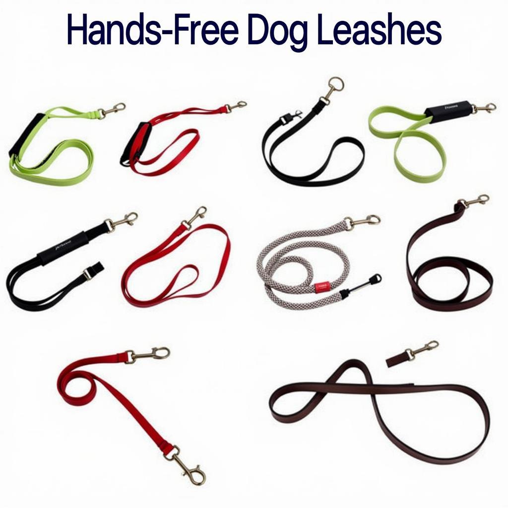 Variety of hands free leashes for dogs