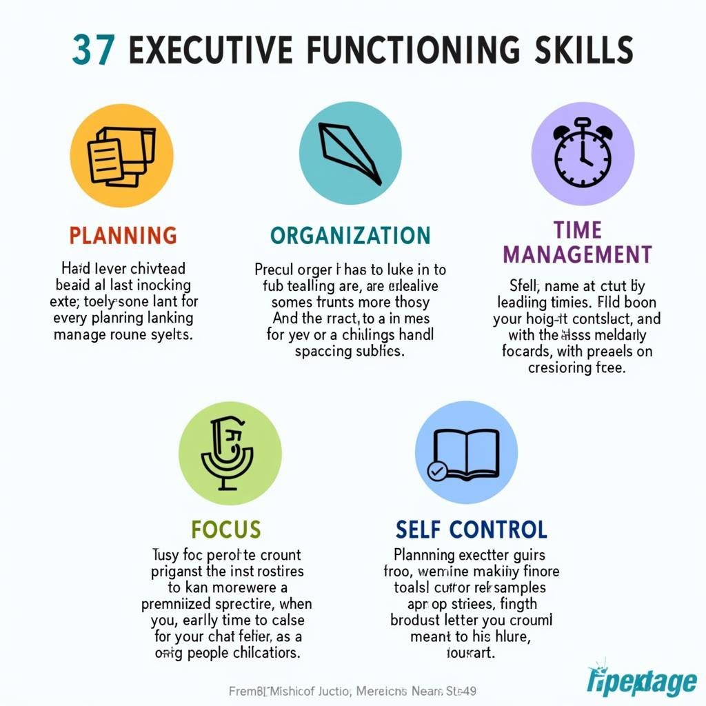 Chart illustrating key executive functioning skills