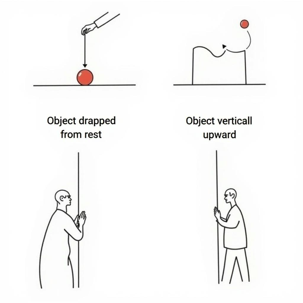 Common Free Fall Scenarios Illustrations