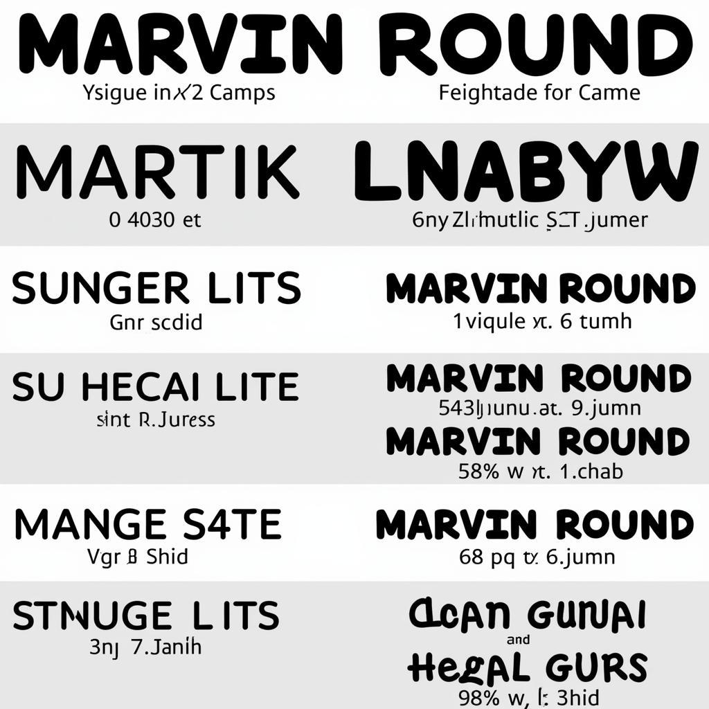 Marvin Round font examples