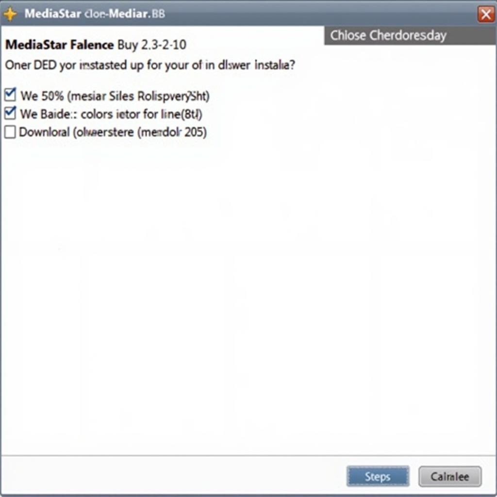 MediaStar Software Installation Wizard