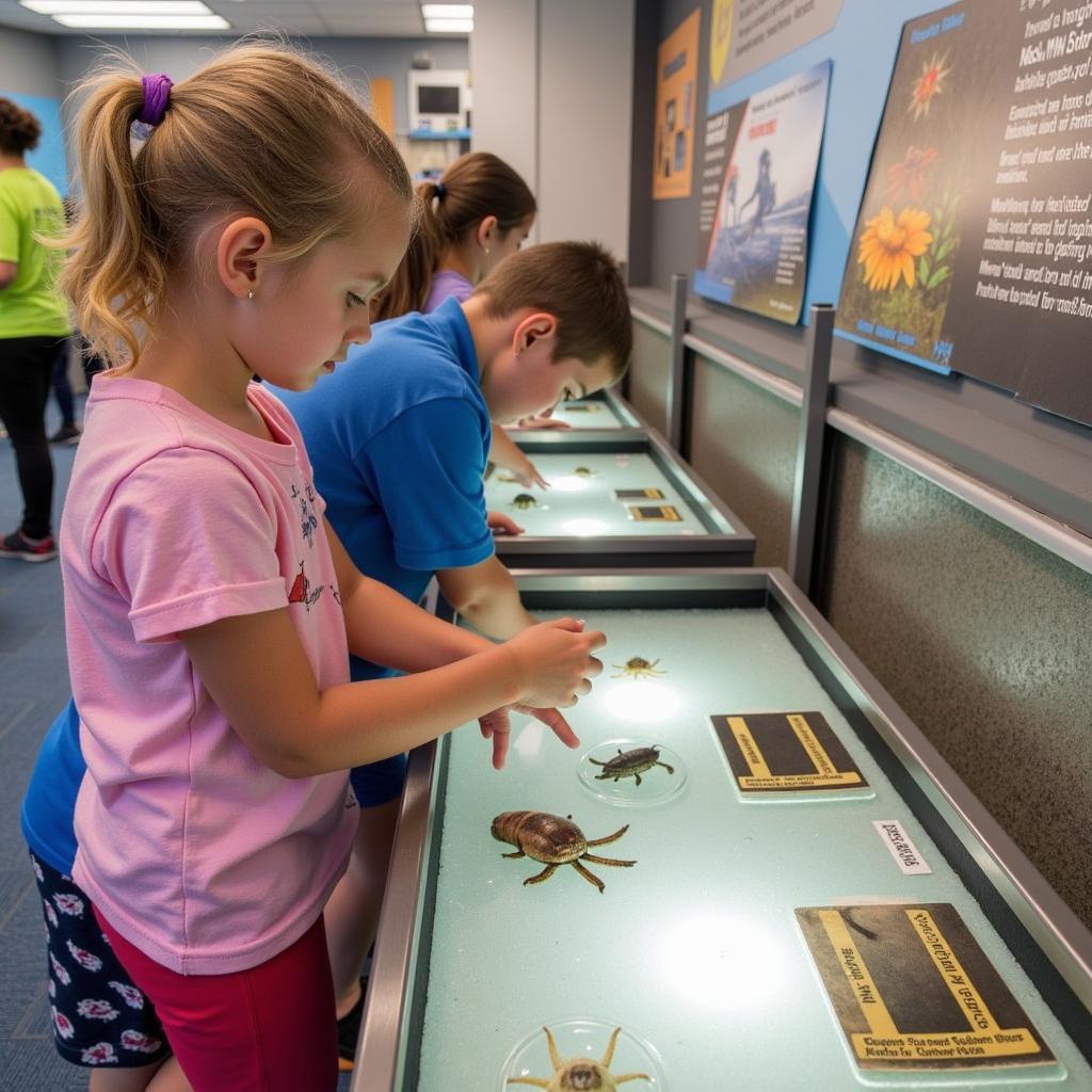 Interactive exhibits at the Navarre Beach Marine Science Station