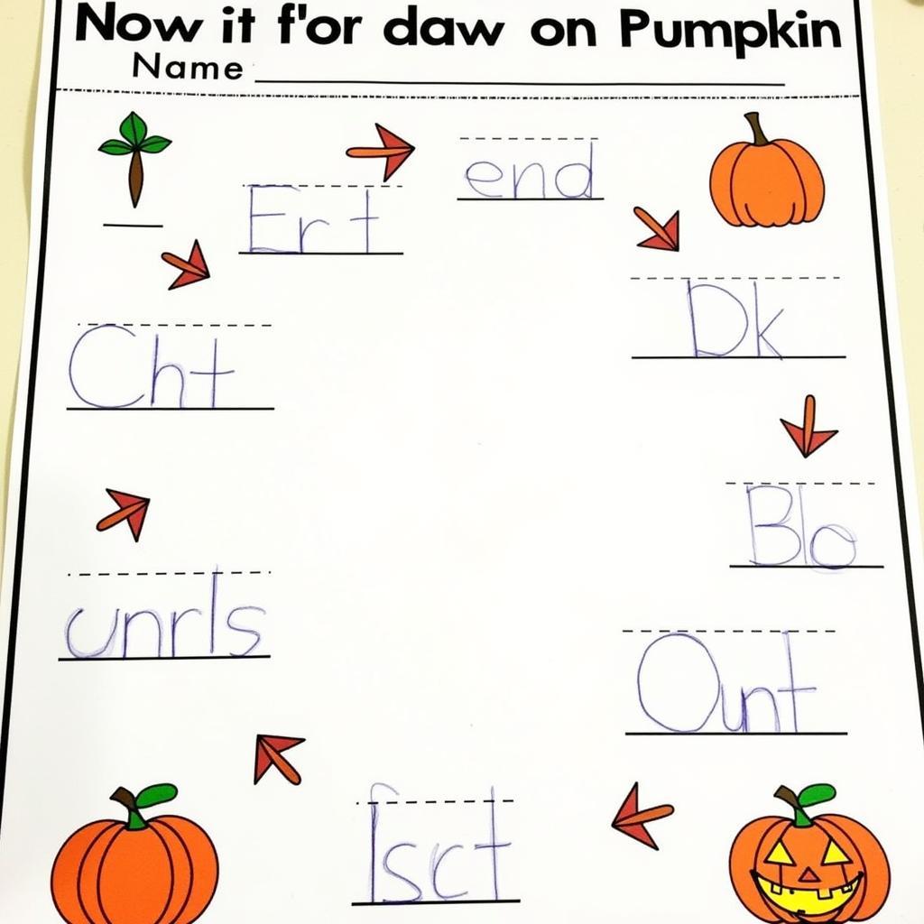 Pumpkin life cycle activity sheet