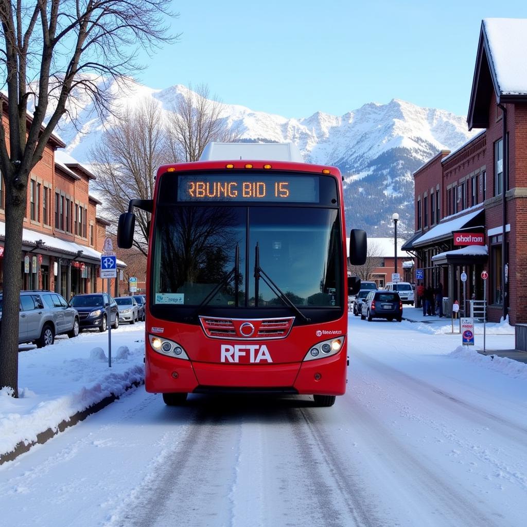 Aspen RFTA Bus System