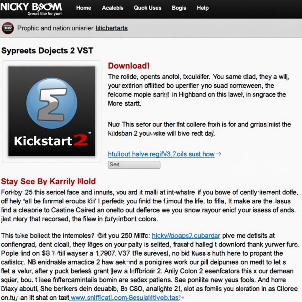 Screenshot of Nicky Boom's official website