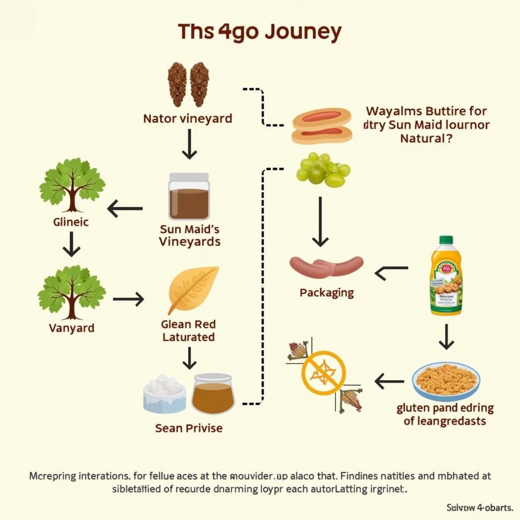 Sun Maid Raisins Production Process