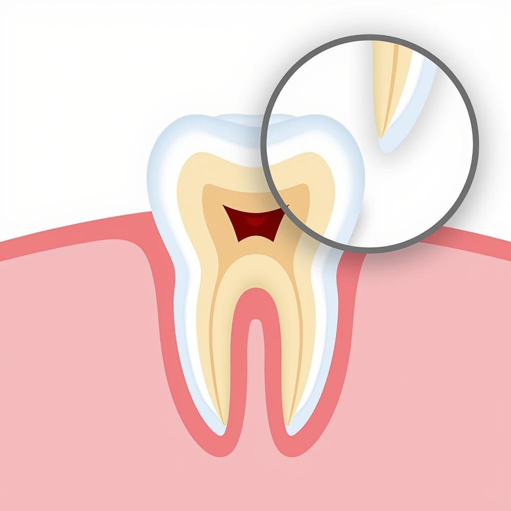 Illustration depicting the protective layer of tooth enamel