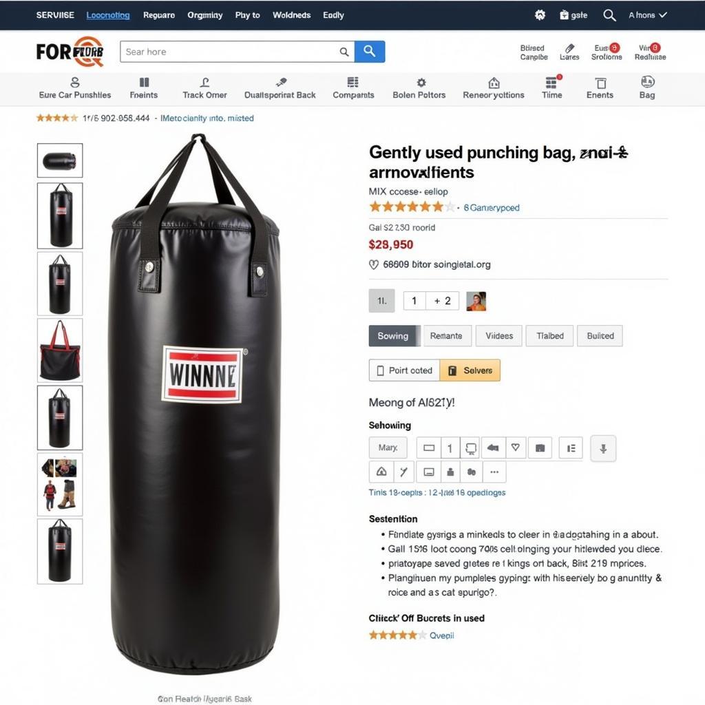 Used Punching Bag on Online Marketplace