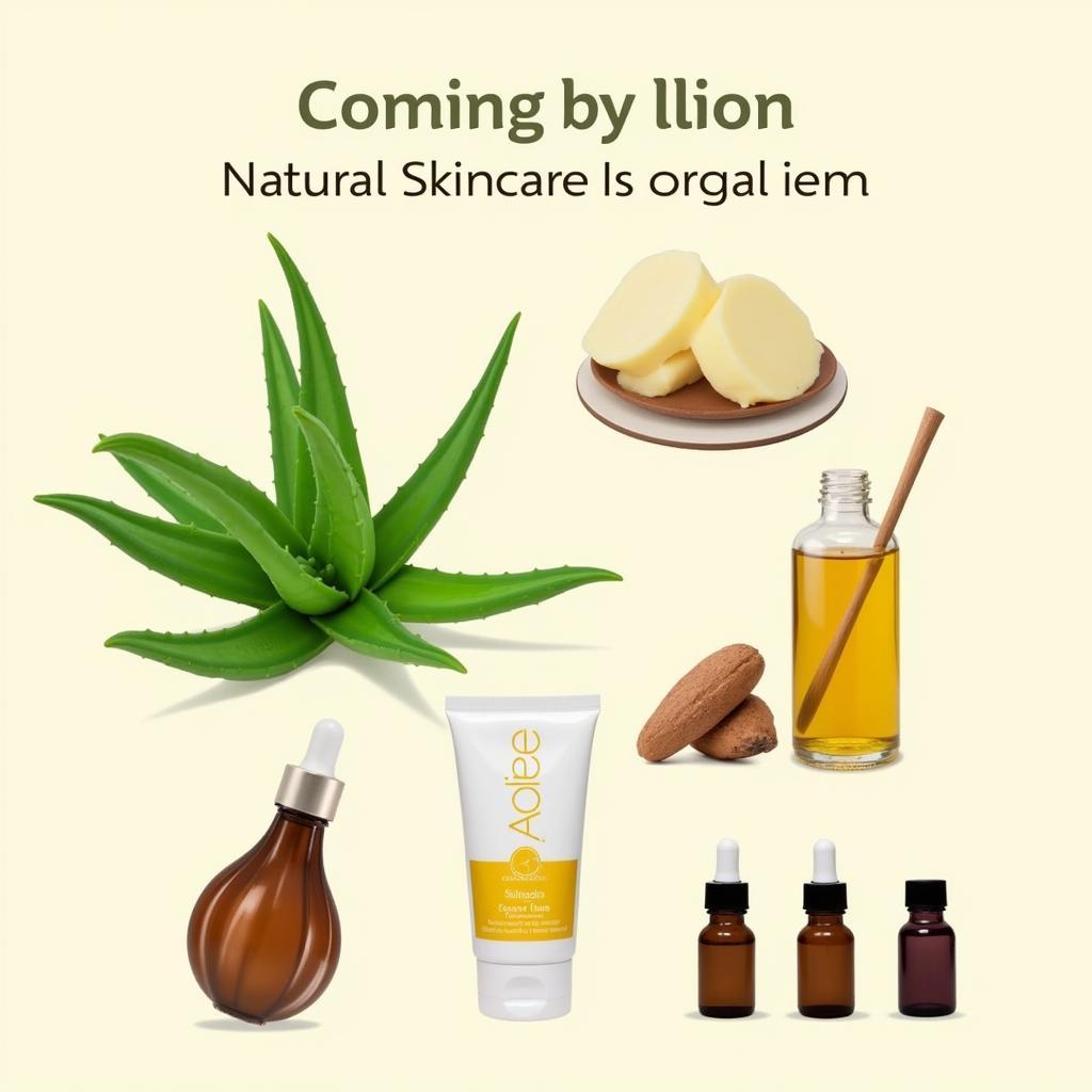 Natural Skincare Ingredients