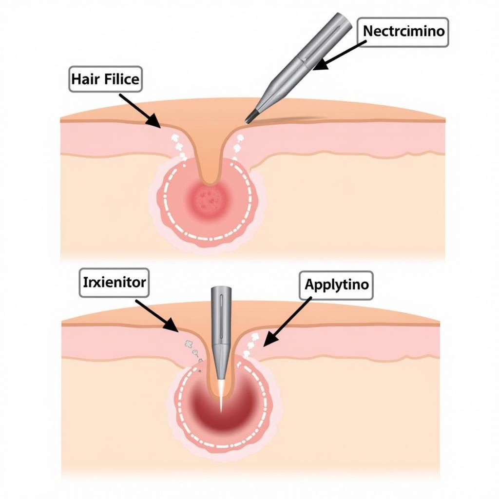 Electrolysis Process Diagram