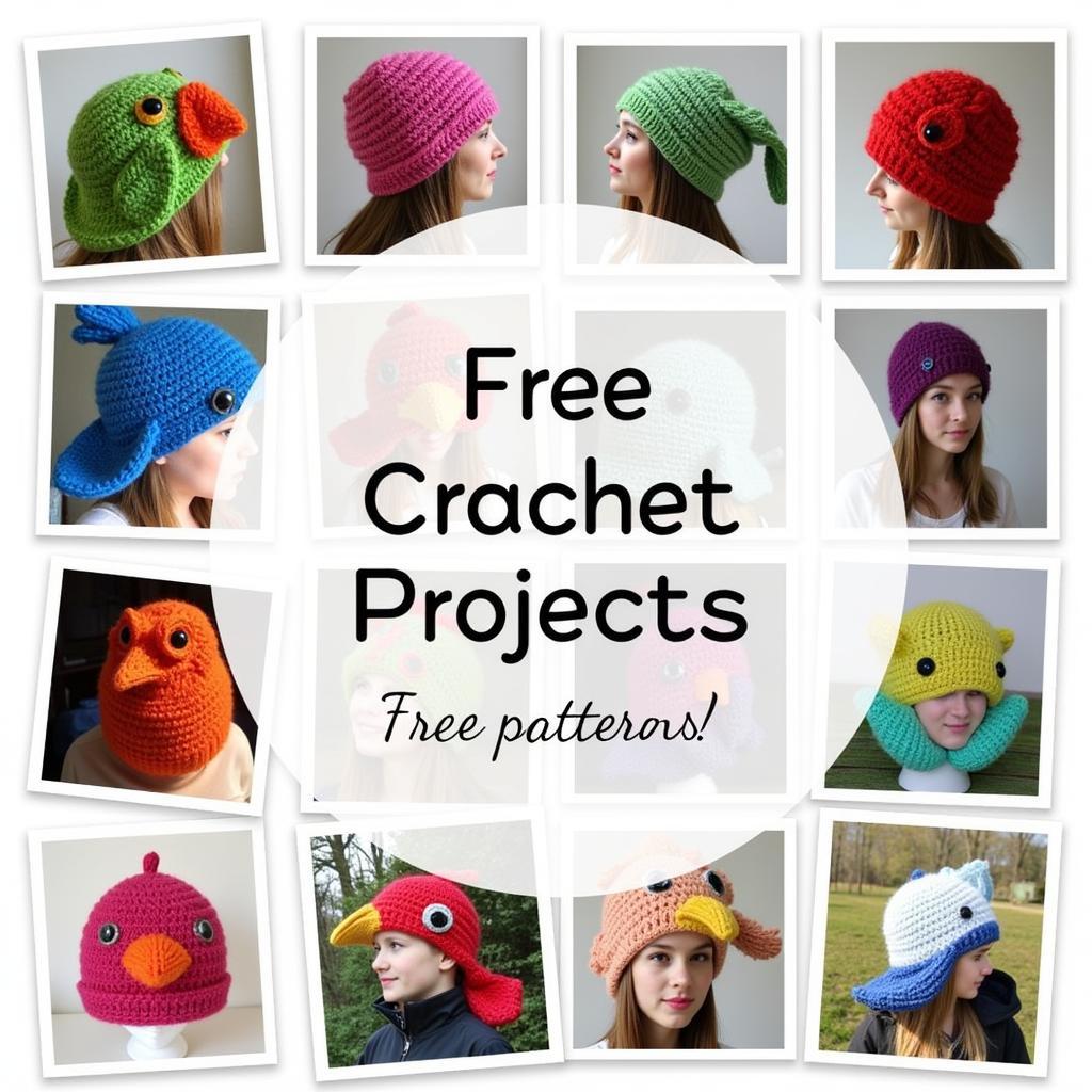 Examples of Finished Free Bird Hats