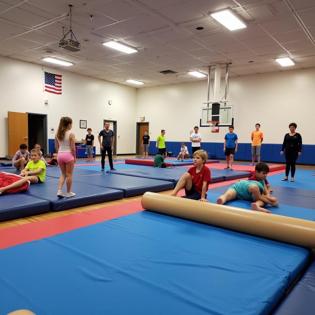 Free Gymnastics Gym at Community Center