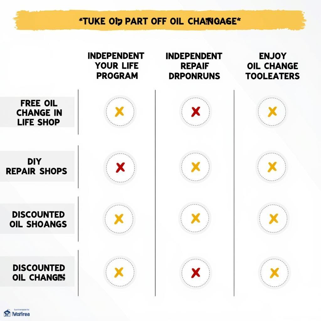 Comparing Different Oil Change Options