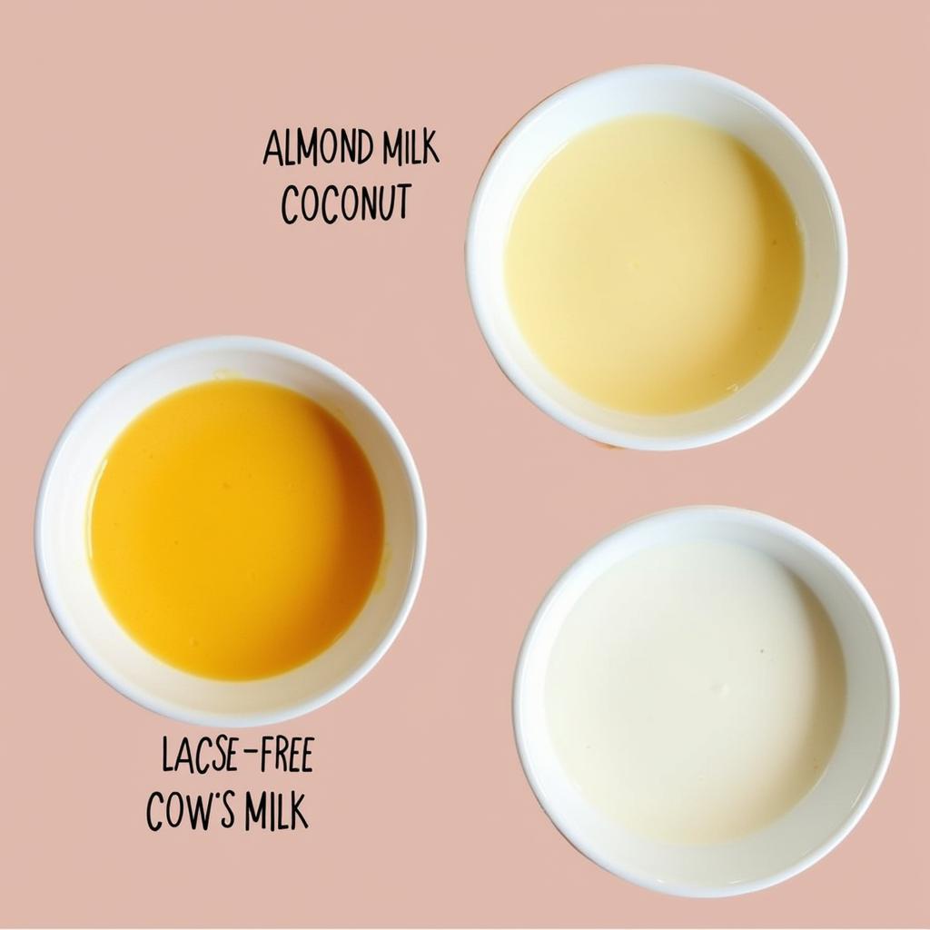 Three types of lactose-free flan: almond milk, coconut milk, and lactose-free cow's milk.