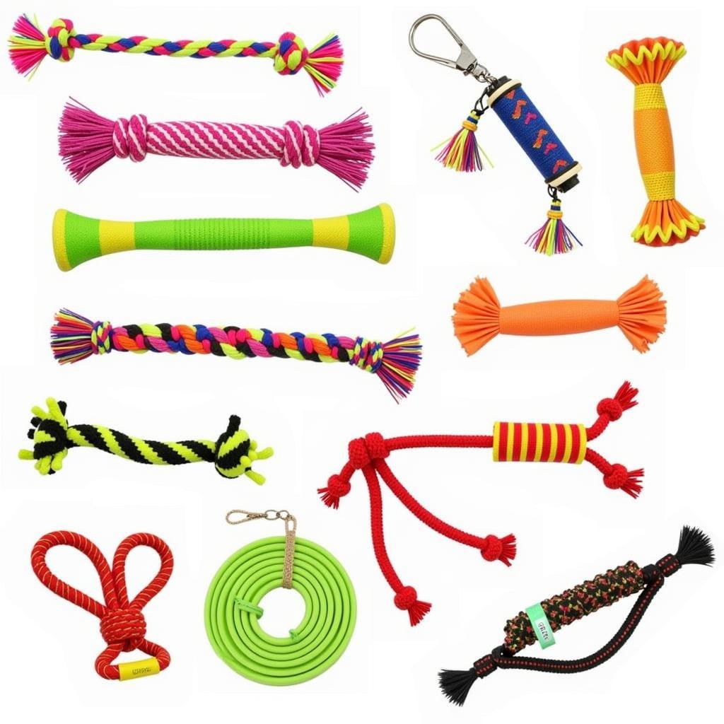 Durable stuffing-free dog toys for interactive play.